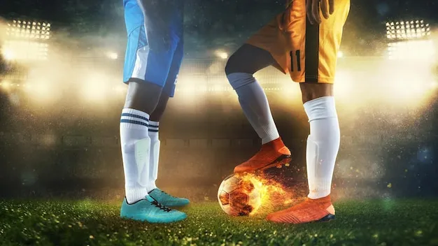 用户在手机上使用开云体育APP